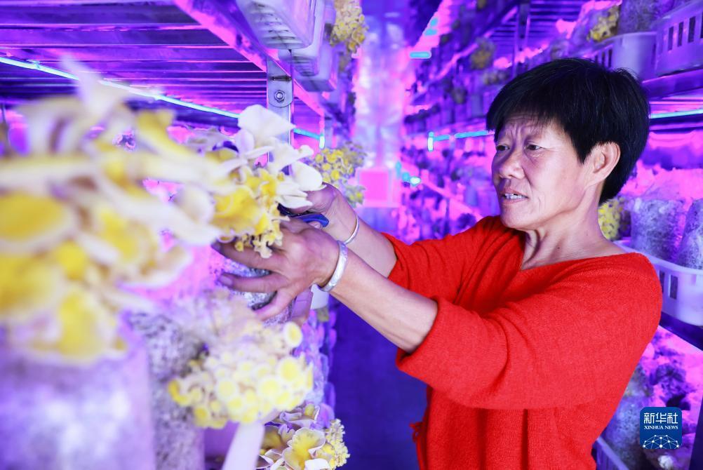 金亚洲登陆平台登录